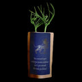 Leo Tree-Growing Gift Kit | THE XIII HOUSE — product image