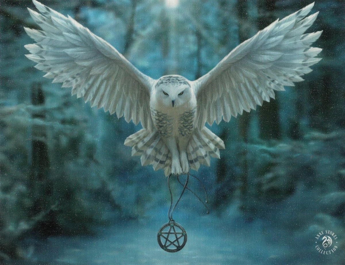 Awake Your Magic canvas plaque by Anne Stokes with a white owl under a moonlit sky