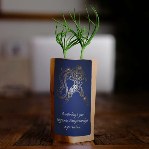 Aquarius tree gift kit