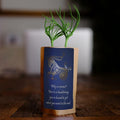 Capricorn Zodiac Tree Gift, We Plant 1 More Tree