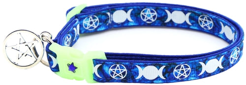 Witch's Familiar on Sapphire Cat Collar