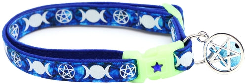 Witch's Familiar on Sapphire Cat Collar