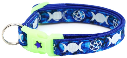 Witch's Familiar on Sapphire Cat Collar