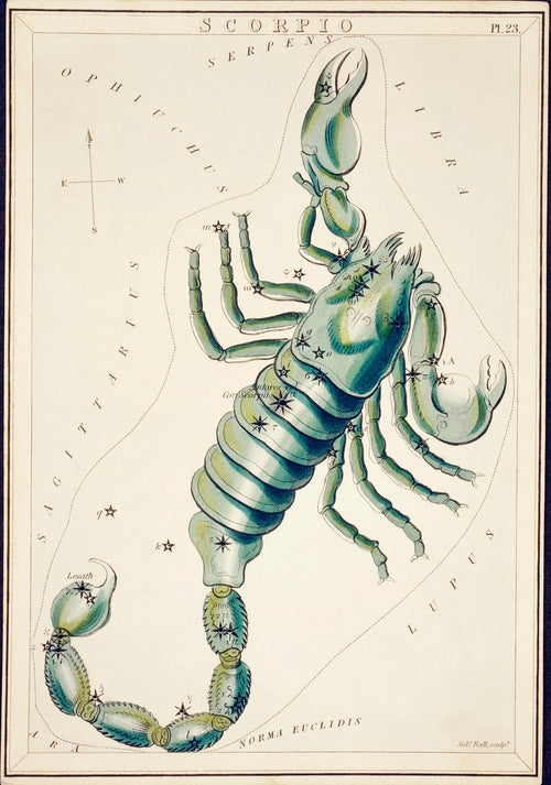 Scorpio by Sidney Prior Hall Astrology Giclée Canvas Print