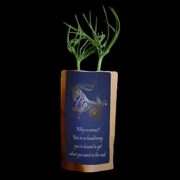 Capricorn Tree-Growing Gift Kit | THE XIII HOUSE — product image