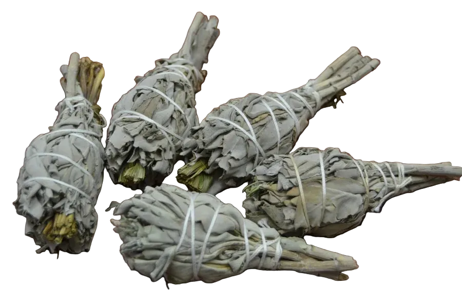 White sage and sweetgrass mini ritual bundles