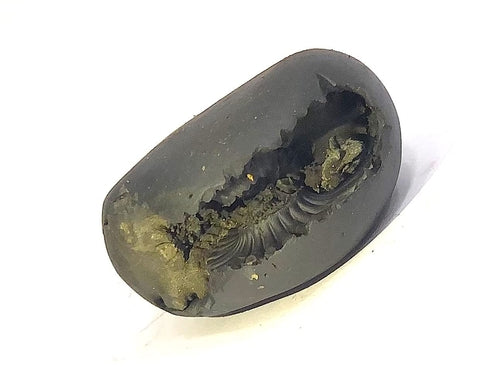 Lakshmi-Narasimha Shaligram stone associated with the Gandaki River tradition