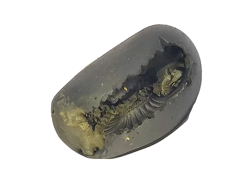 Lakshmi-Narasimha Shaligram — Gandaki River Stone — product image