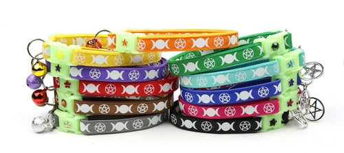 Witch's Familiar on Pink Cat Collar
