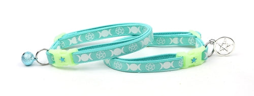 Witch's Familiar on Aqua Cat Collar