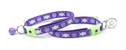 Witch's Familiar on Purple Cat Collar