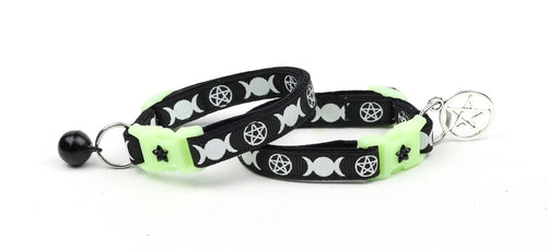 Witch's Familiar on Black Cat Collar