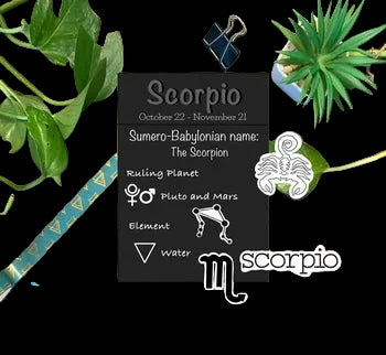 Scorpio zodiac waterproof sticker set