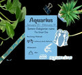 Aquarius Zodiac Sticker Set — Four Waterproof Designs | THE XIII HOUSE — product image