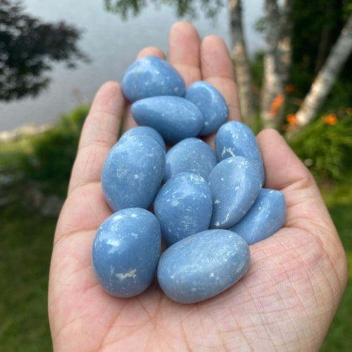 Angelite Tumbled Stones