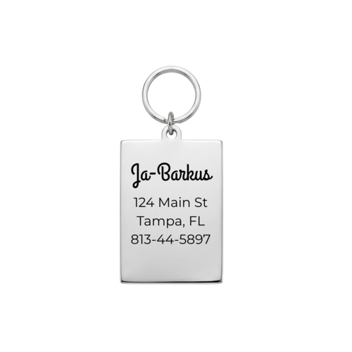 Towers Mystic Tarot Pet ID Tag & Charm & Charm